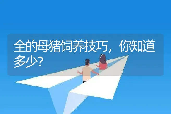 全的母猪饲养技巧，你知道多少？ | 家畜养殖