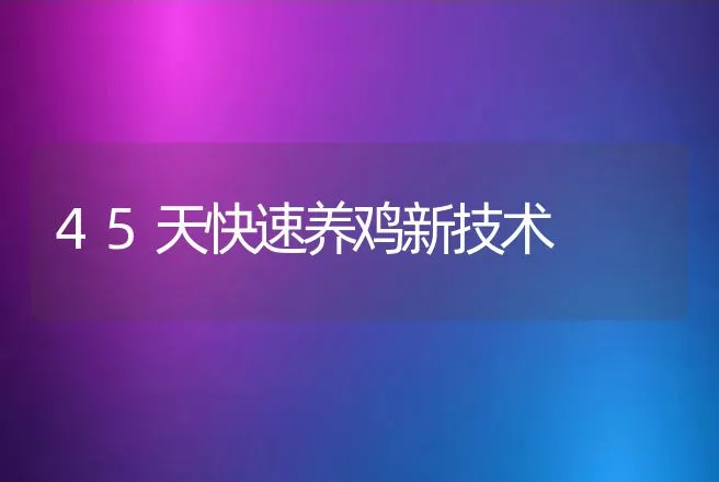 45天快速养鸡新技术 | 动物养殖