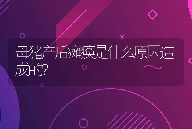 母猪产后瘫痪是什么原因造成的？ | 兽医知识大全