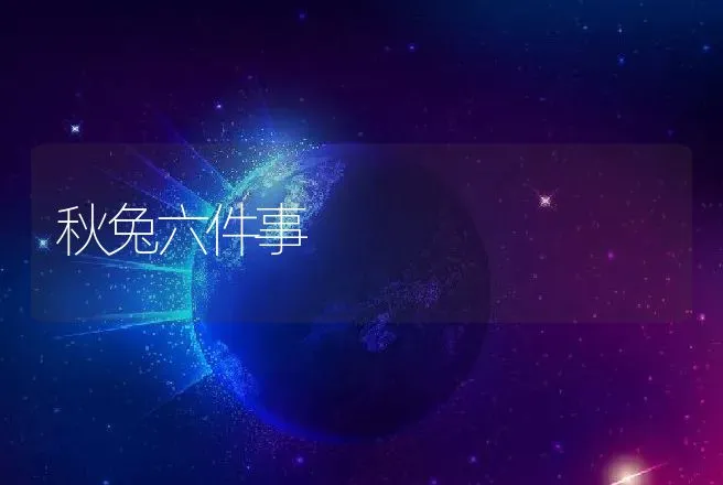 秋兔六件事 | 动物养殖