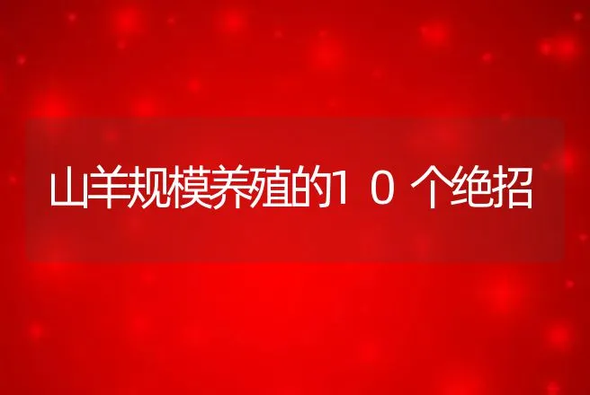 山羊规模养殖的10个绝招 | 动物养殖