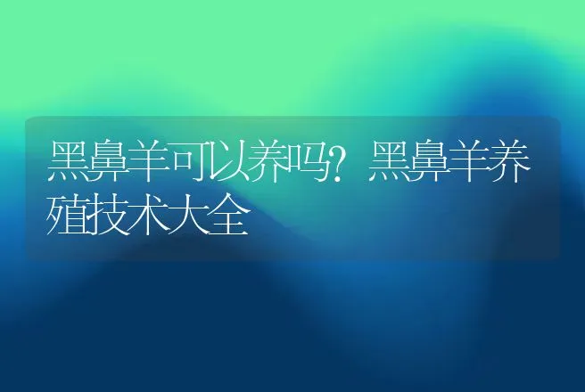 黑鼻羊可以养吗？黑鼻羊养殖技术大全 | 家畜养殖