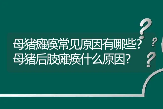 母猪瘫痪常见原因有哪些？母猪后肢瘫痪什么原因？ | 兽医知识大全