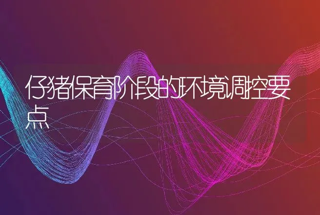 仔猪保育阶段的环境调控要点 | 动物养殖