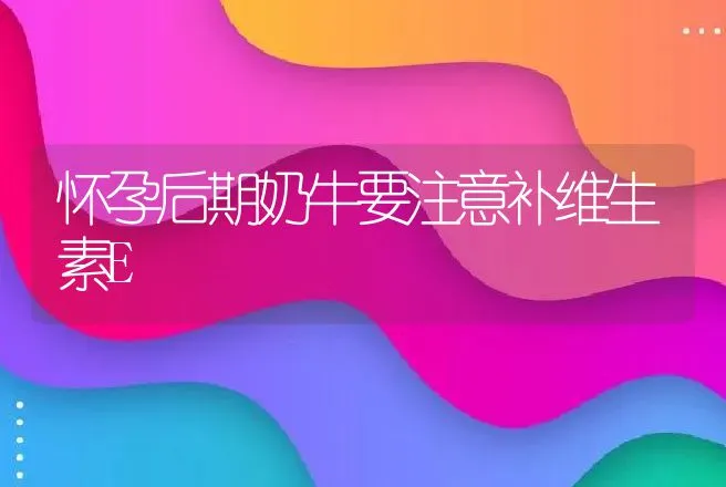 怀孕后期奶牛要注意补维生素E | 动物养殖