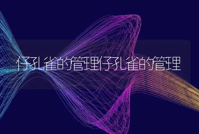 仔孔雀的管理仔孔雀的管理 | 动物养殖