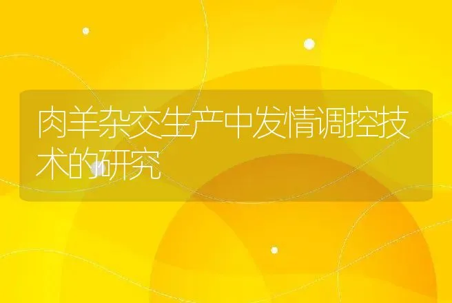 肉羊杂交生产中发情调控技术的研究 | 动物养殖