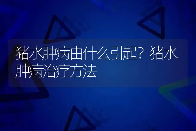 猪水肿病由什么引起？猪水肿病治疗方法 | 兽医知识大全