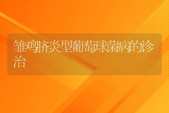 雏鸡脐炎型葡萄球菌病的诊治 | 动物养殖