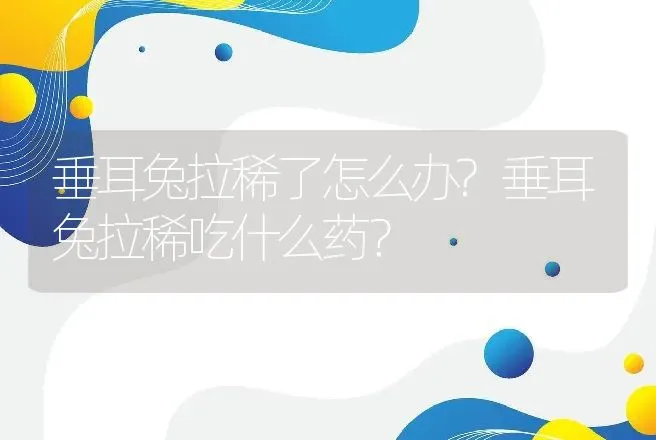 垂耳兔拉稀了怎么办?垂耳兔拉稀吃什么药？ | 兽医知识大全