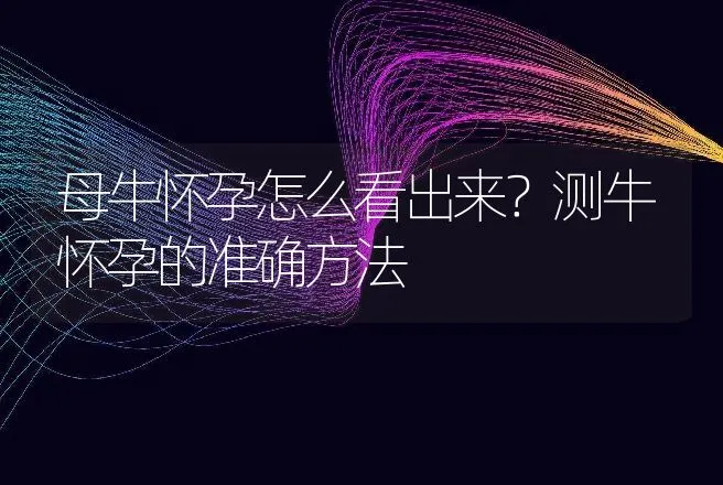 母牛怀孕怎么看出来？测牛怀孕的准确方法 | 家畜养殖