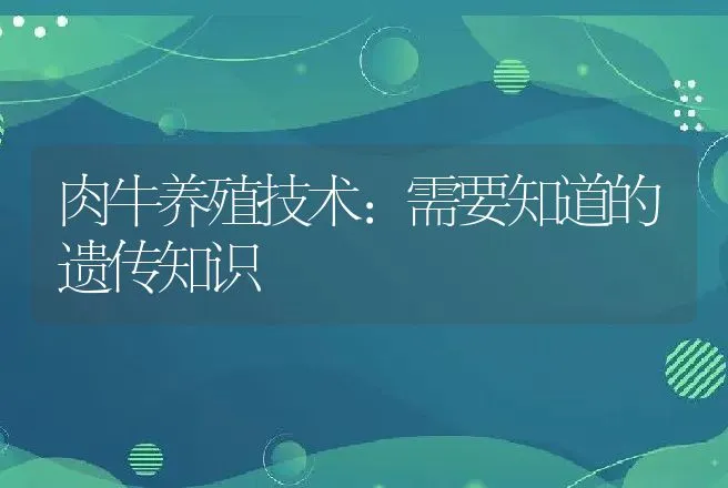 肉牛养殖技术：需要知道的遗传知识 | 家畜养殖