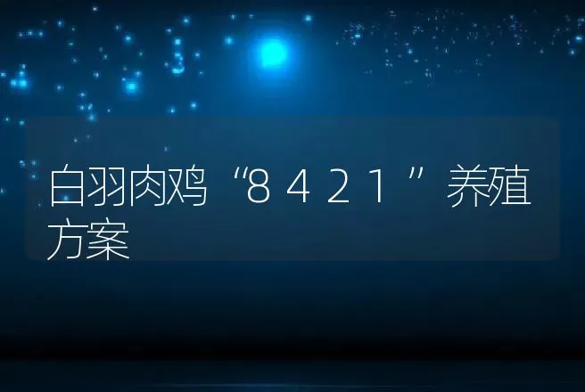 白羽肉鸡“8421”养殖方案 | 动物养殖