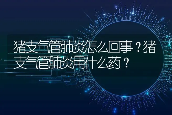 猪支气管肺炎怎么回事？猪支气管肺炎用什么药？ | 兽医知识大全