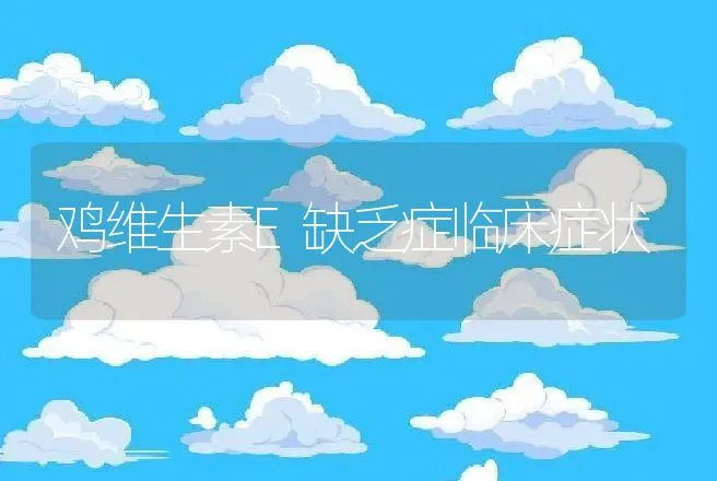 鸡维生素E缺乏症临床症状 | 动物养殖