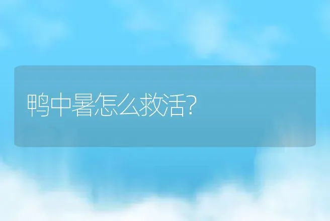 鸭中暑怎么救活？ | 兽医知识大全