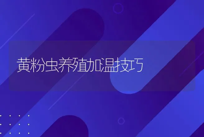 黄粉虫养殖加温技巧 | 动物养殖