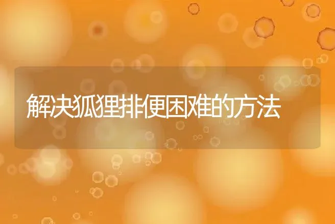 解决狐狸排便困难的方法 | 特种养殖