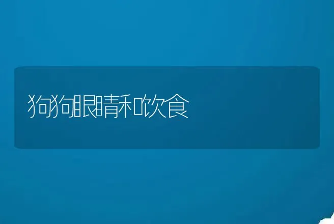 狗狗眼睛和饮食 | 动物养殖