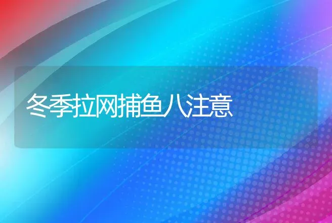 冬季拉网捕鱼八注意 | 动物养殖