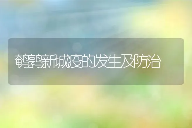 鹌鹑新城疫的发生及防治 | 特种养殖