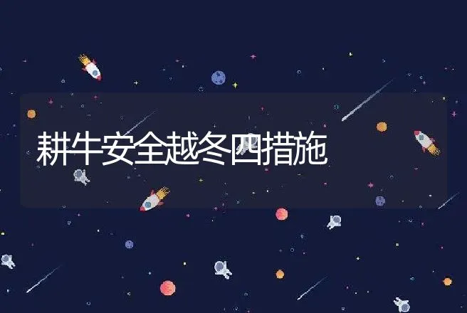 耕牛安全越冬四措施 | 动物养殖