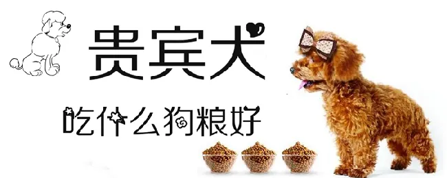 贵宾犬吃什么狗粮好 | 宠物病虫害防治