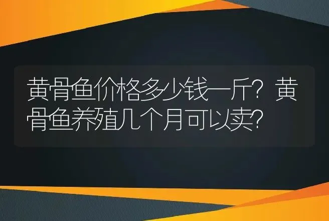 黄骨鱼价格多少钱一斤？黄骨鱼养殖几个月可以卖？ | 水产知识