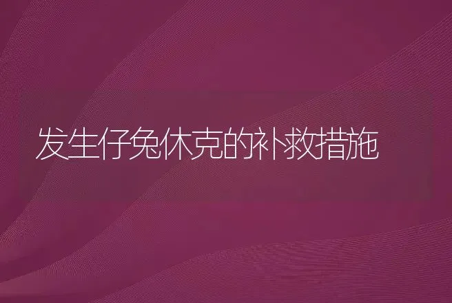 发生仔兔休克的补救措施 | 动物养殖