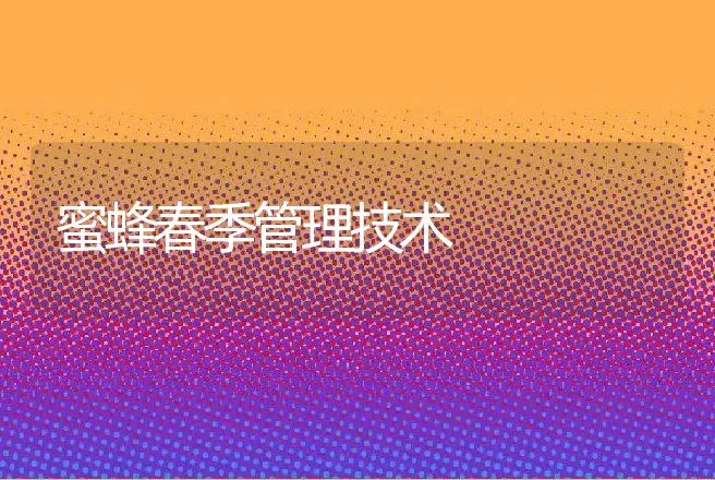 蜜蜂春季管理技术 | 动物养殖