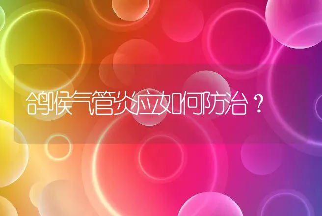 鸽喉气管炎应如何防治？ | 动物养殖