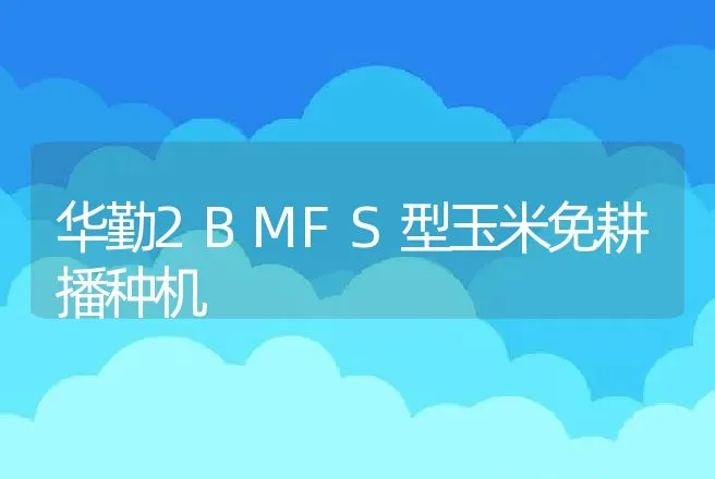 华勤2BMFS型玉米免耕播种机 | 养殖