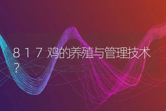 817鸡的养殖与管理技术？ | 家禽养殖