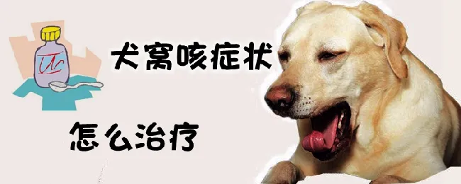 犬窝咳症状怎么治疗 | 宠物病虫害防治