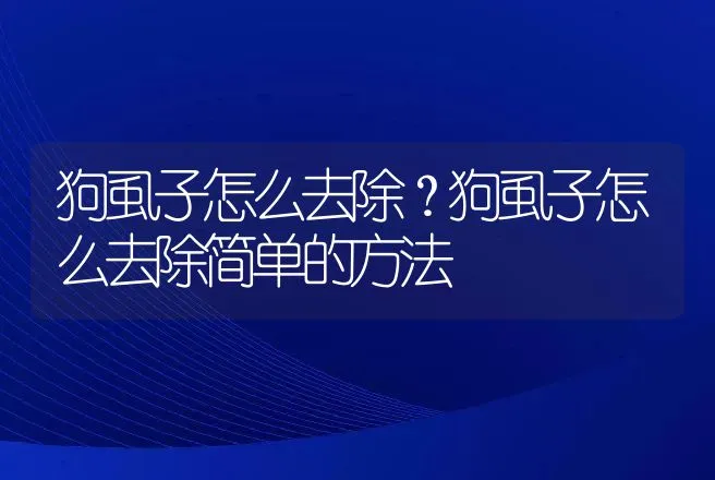 狗虱子怎么去除？狗虱子怎么去除简单的方法 | 兽医知识大全