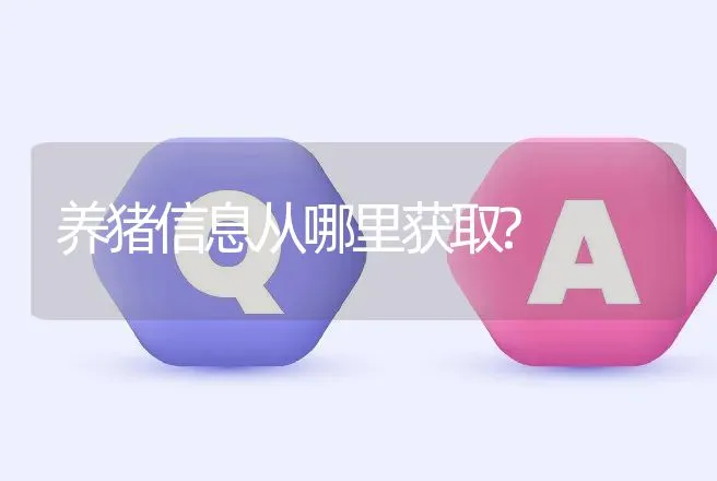 养猪信息从哪里获取? | 家畜养殖