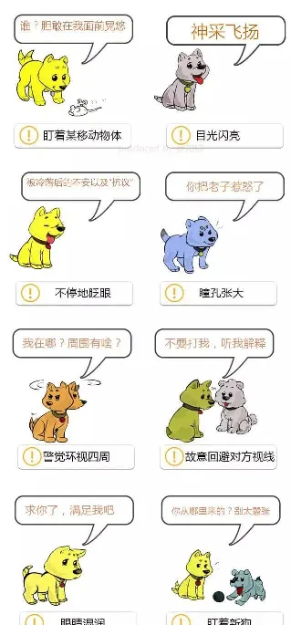 学会狗语言，读懂你的狗——狗狗的喜怒哀乐不用猜 | 宠物狗饲养