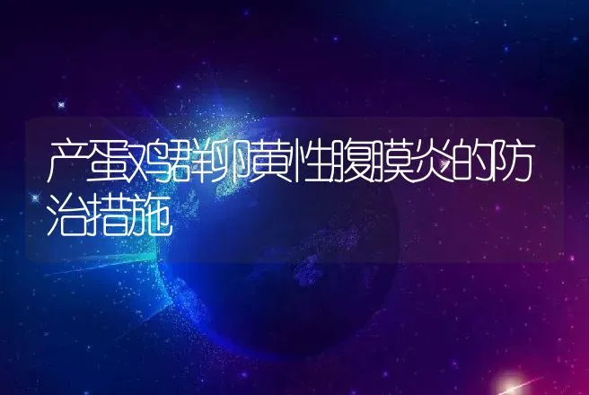 兔子传染病主要有哪几种？ | 兽医知识大全