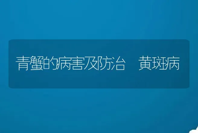 青蟹的病害及防治―黄斑病 | 动物养殖