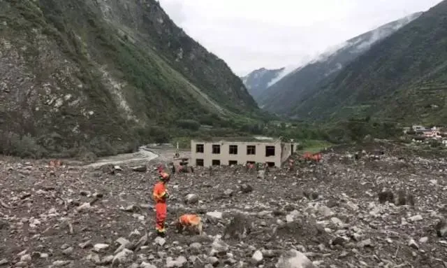 四川茂县山体垮塌事件现场 一线的消防人员和搜救犬辛苦了 | 宠物新闻资讯