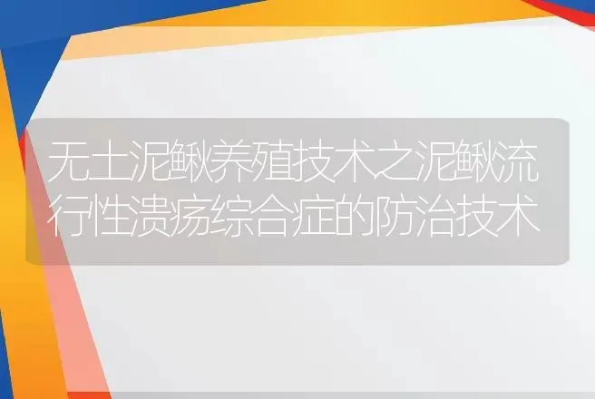 无土泥鳅养殖技术之泥鳅流行性溃疡综合症的防治技术 | 水产知识