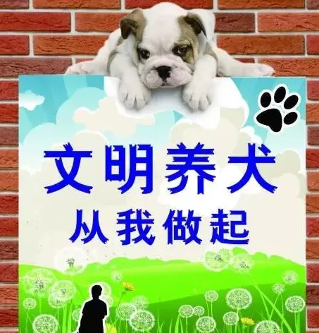 出台养狗规定，助力文明养犬 | 宠物狗饲养