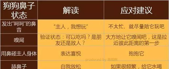 学会狗语言，读懂你的狗——狗狗的喜怒哀乐不用猜 | 宠物狗饲养