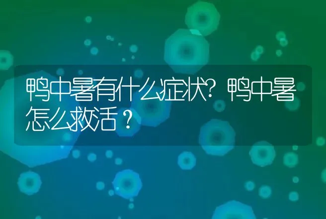 鸭中暑有什么症状?鸭中暑怎么救活？ | 兽医知识大全