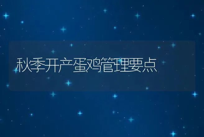 秋季开产蛋鸡管理要点 | 动物养殖