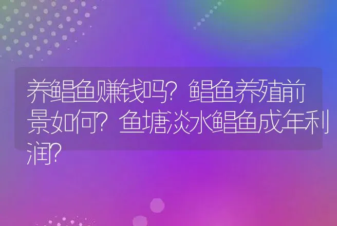 养鲳鱼赚钱吗？鲳鱼养殖前景如何？鱼塘淡水鲳鱼成年利润？ | 养殖致富