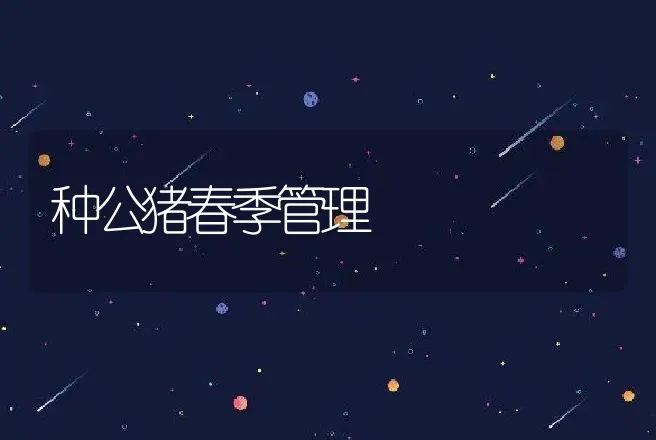 笼养蛋鸡的三种常见疾病及防治 | 动物养殖