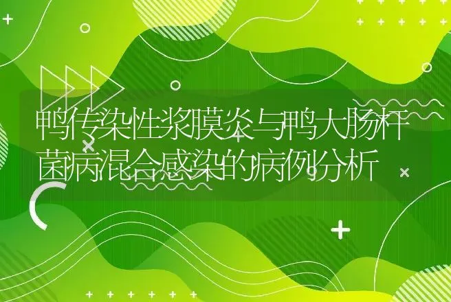 鸭传染性浆膜炎与鸭大肠杆菌病混合感染的病例分析 | 家禽养殖