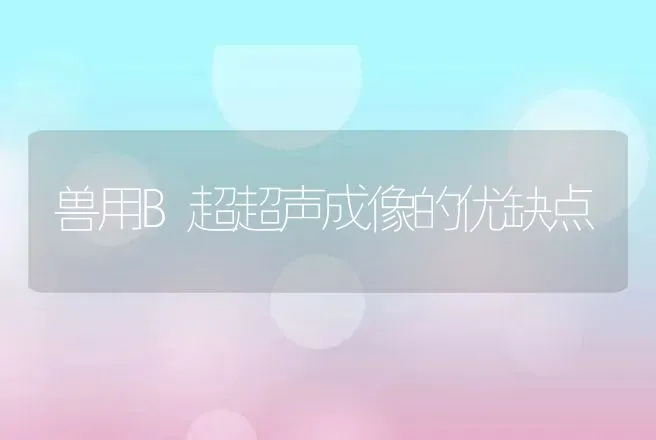 兽用B超超声成像的优缺点 | 动物养殖