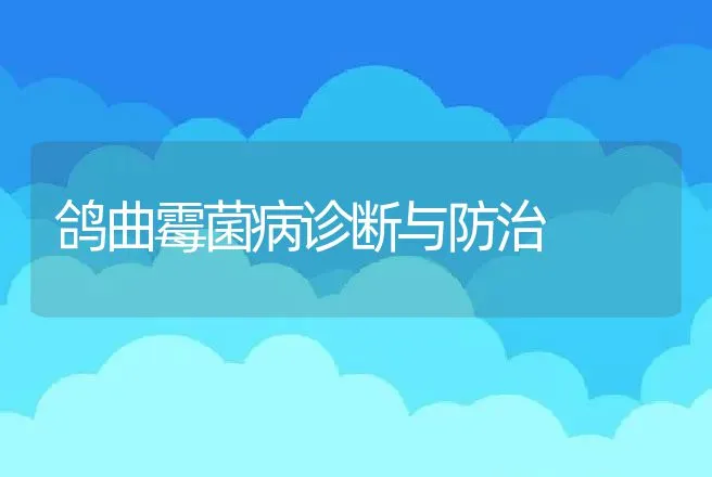 鸽曲霉菌病诊断与防治 | 特种养殖